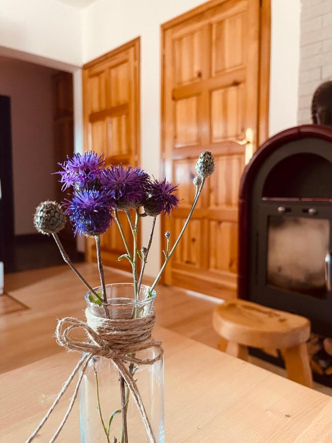 Hill Durmitor Leilighet Žabljak Eksteriør bilde